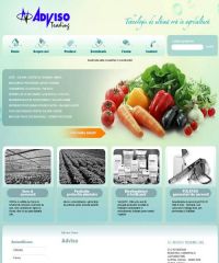 web design bucuresti web design bucuresti