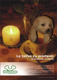 web design bucuresti