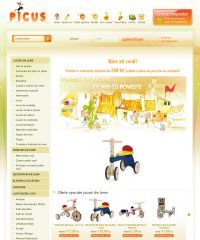 www.picus.ro web design